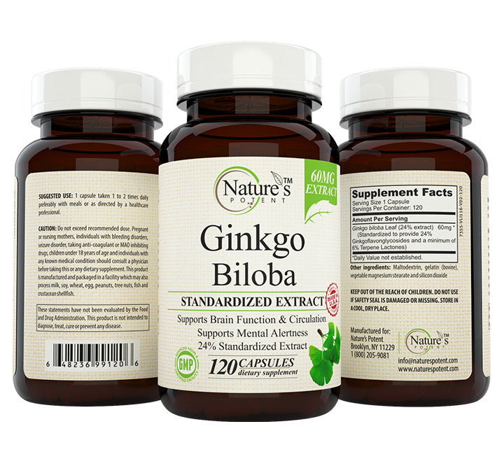 Ginkgo Biloba Supplement