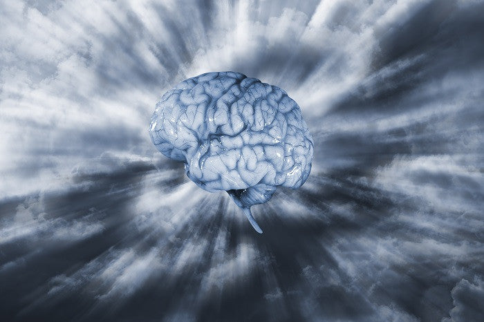 Human brain in clouds